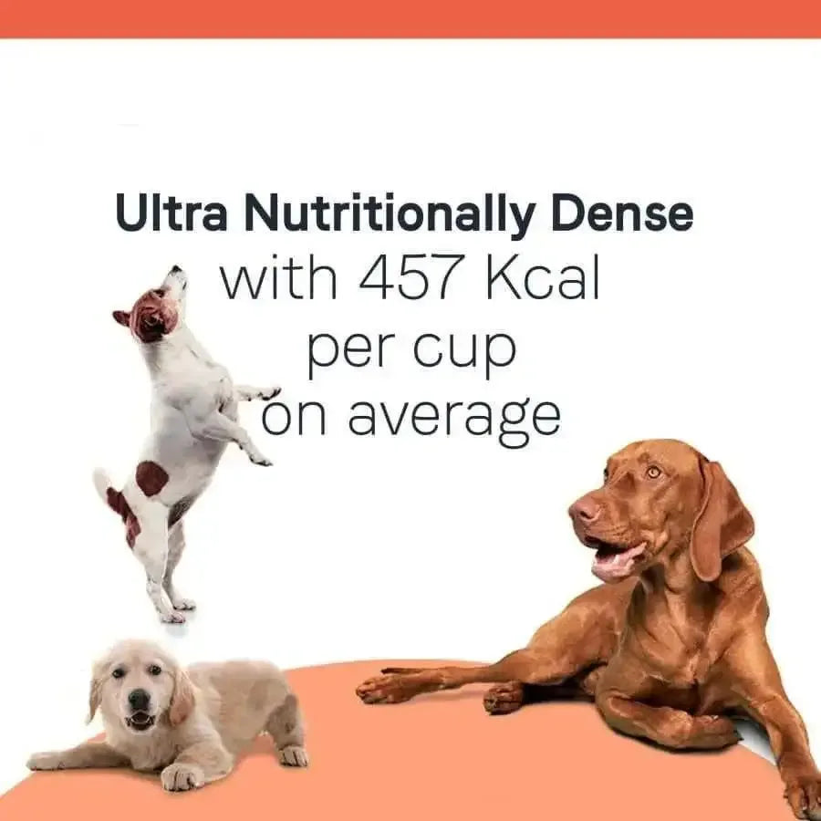 Three dogs—a standing Jack Russell Terrier, a lying Golden Retriever, and a reclining Vizsla—are shown around the text “CANIDAE All Life Stages Less Active Formula Dry Dog Food Chicken, Turkey, Lamb & Fish Meal” on a white and orange background.
