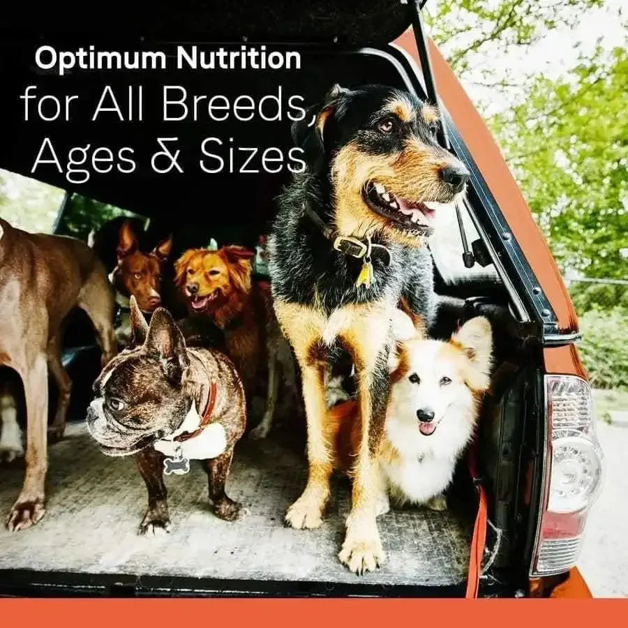 Several dogs of various breeds and sizes stand together in the back of a vehicle, with text above that reads, CANIDAE All Life Stages Less Active Formula Dry Dog Food—optimum nutrition for every dog.