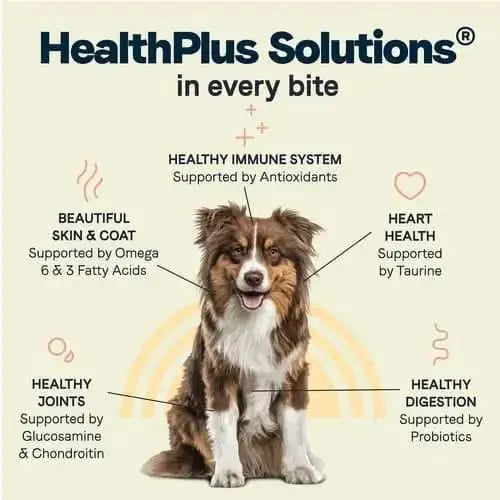 A happy dog sits in the center, surrounded by text showing CANIDAE All Life Stages Less Active Formula supports immune health (antioxidants), skin/coat (omegas), heart (taurine), joints (glucosamine/chondroitin) & digestion (probiotics).