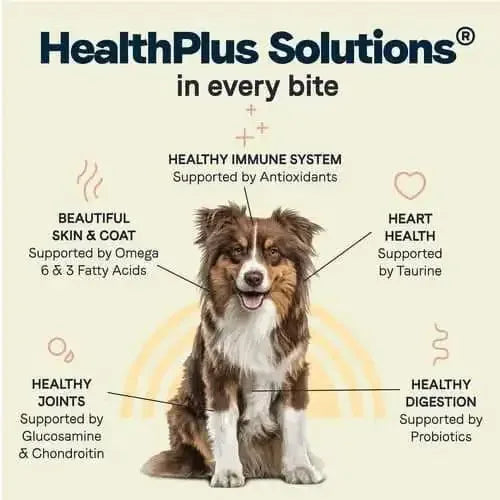 A happy dog sits in the center, surrounded by text showing CANIDAE All Life Stages Less Active Formula supports immune health (antioxidants), skin/coat (omegas), heart (taurine), joints (glucosamine/chondroitin) & digestion (probiotics).