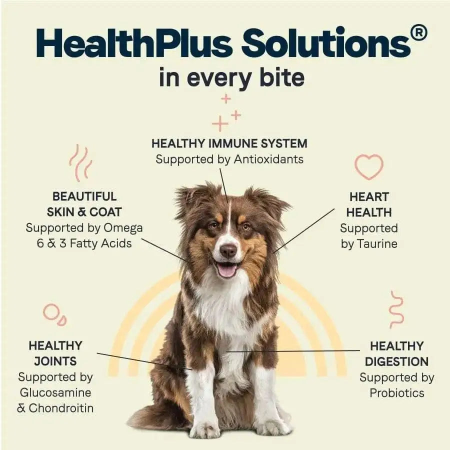 A happy brown and white dog sits with text highlighting CANIDAE All Life Stages Multi-Protein Formula benefits: chicken, turkey, lamb & fish meals support immune system, skin & coat, joints, heart & digestion—perfect for dogs of all life stages.