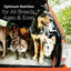 Several dogs stand in the back of a vehicle. Text reads: CANIDAE All Life Stages Multi-Protein Formula supports all breeds, ages & sizes with premium ingredients—chicken, turkey, lamb & fish meal. Trees and greenery fill the background.
