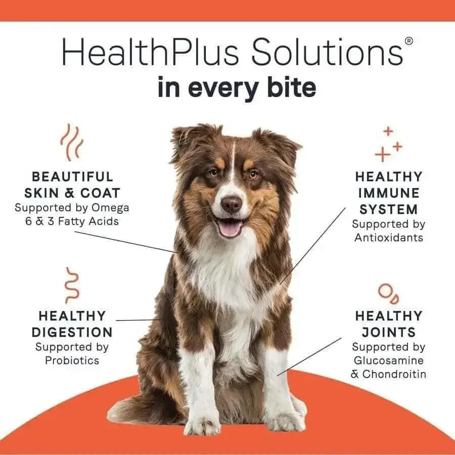 A happy brown and white dog sits with text highlighting CANIDAE All Life Stages Multi-Protein Formula Dry Dog Food’s skin, coat, immune, joint, and digestion benefits—all from premium chicken, turkey, lamb & fish meals.