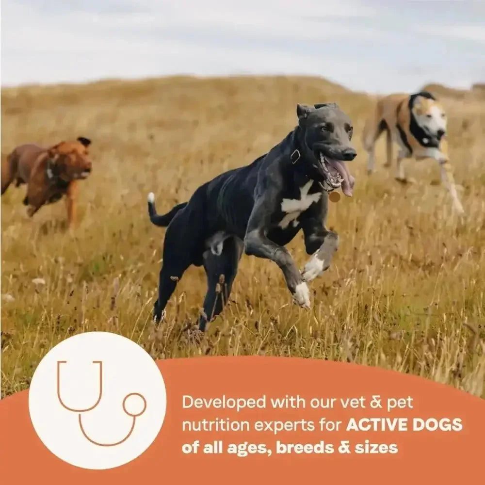 CANIDAE All Life Stages Multi - Protein High Protein Dry Dog Food - Talis Us
