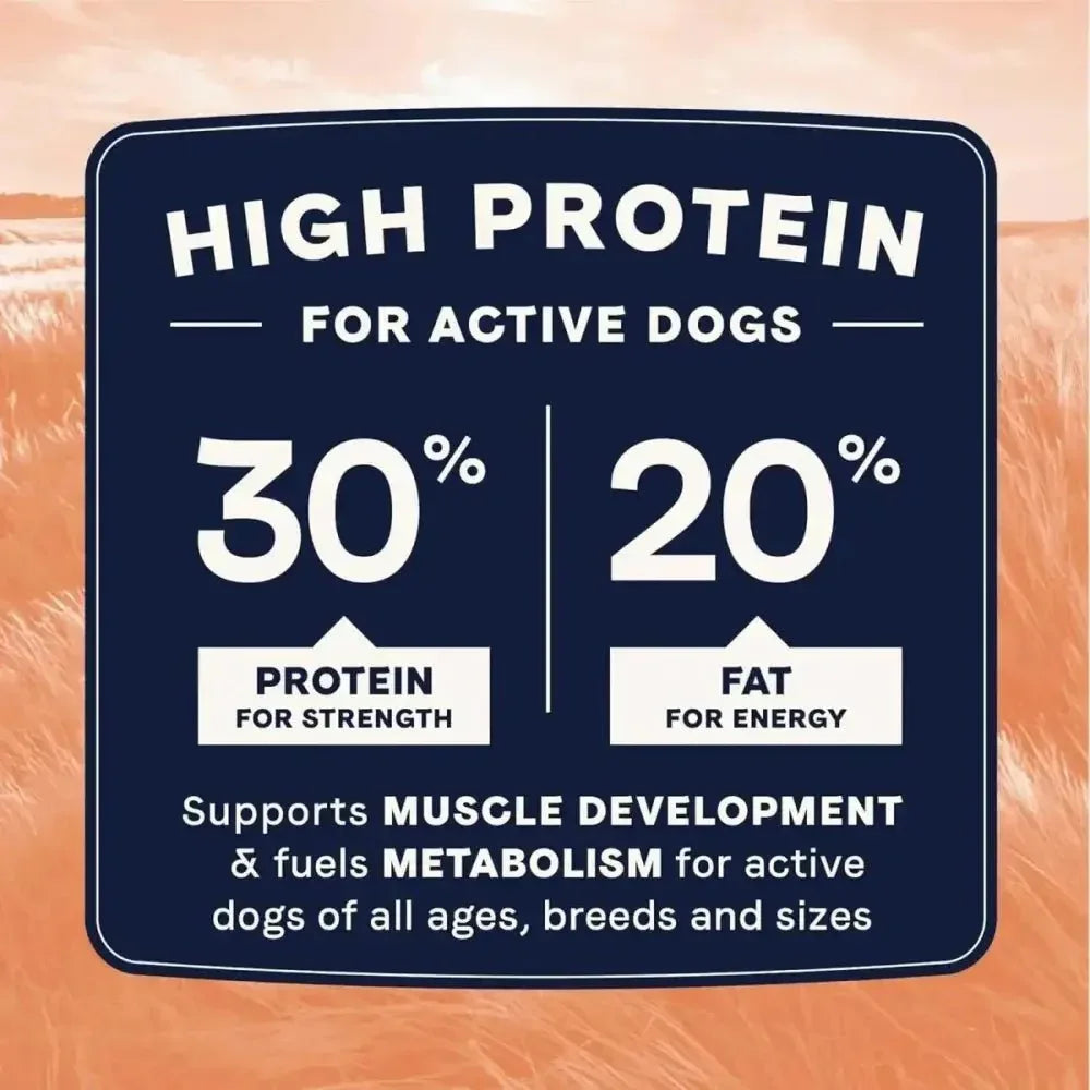 CANIDAE All Life Stages Real Salmon & Ancient Grains Dry Dog Food - Talis Us