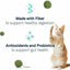 An orange and white cat stands beside green yarn balls. Text reads: CANIDAE Goodness for Digestion Formula with Real Chicken supports healthy adult cats with antioxidants and probiotics. Digestion and health icons appear above the text.