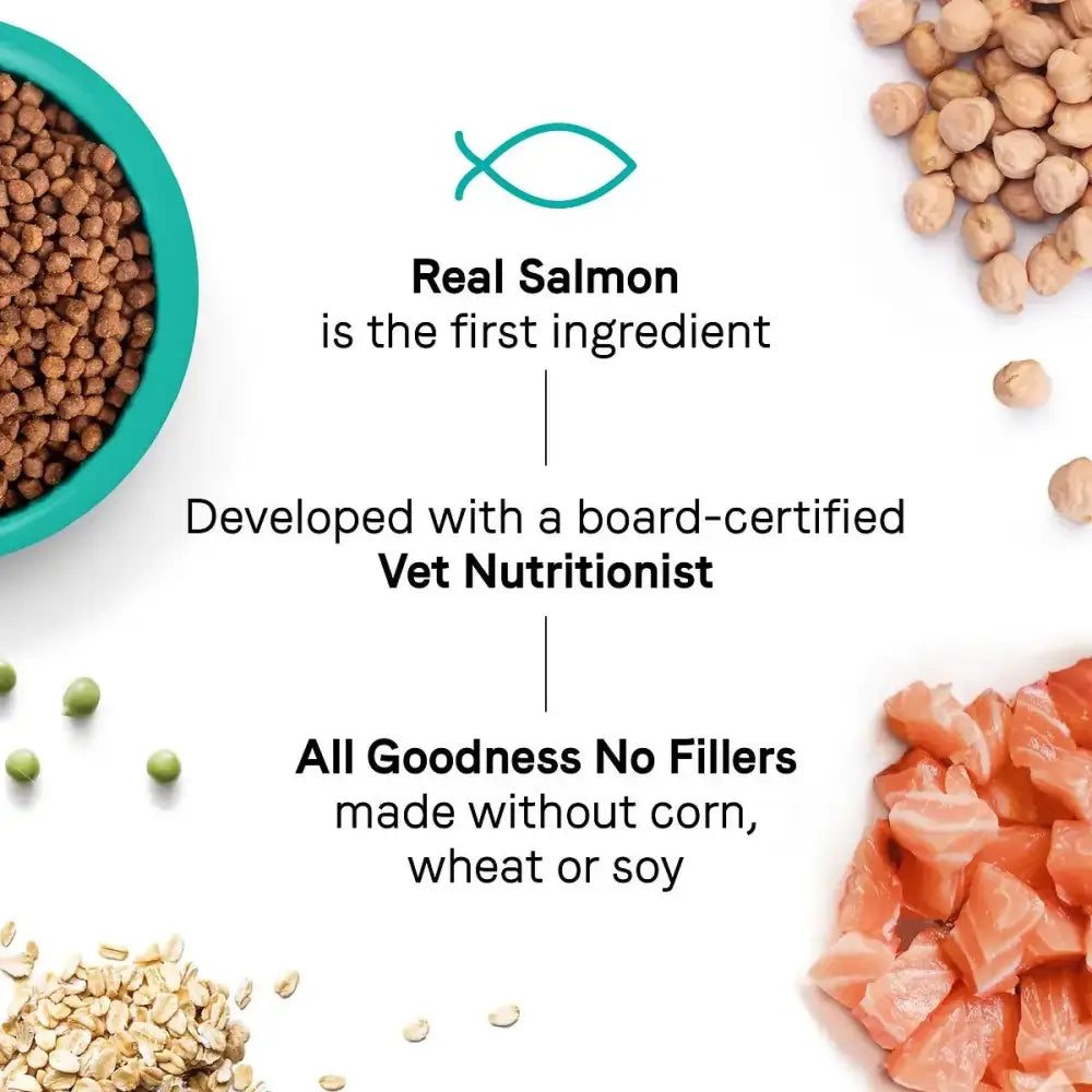 A diagram features CANIDAE Goodness for Digestion Dry Cat Food, made with real chicken as the first ingredient and formulated by vet nutritionists—ideal for healthy adult cats. Surrounding the text are chicken chunks, kibble, chickpeas, and grains.