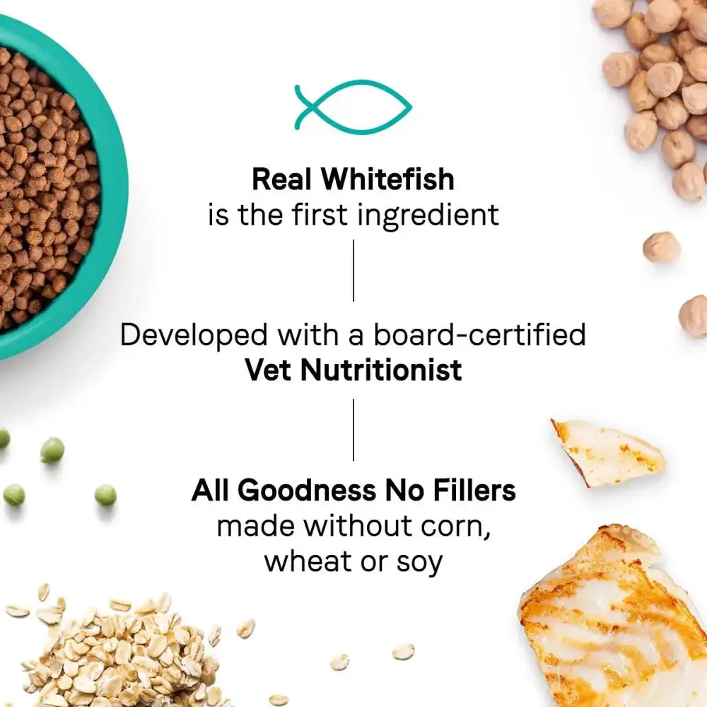 A graphic of CANIDAE Goodness for Indoor Cats Formula with Real Whitefish Dry Cat Food: Real whitefish is the #1 ingredient. Developed with a board-certified Vet Nutritionist. No corn, wheat, or soy—ideal for healthy adult cats. All goodness, no fillers.