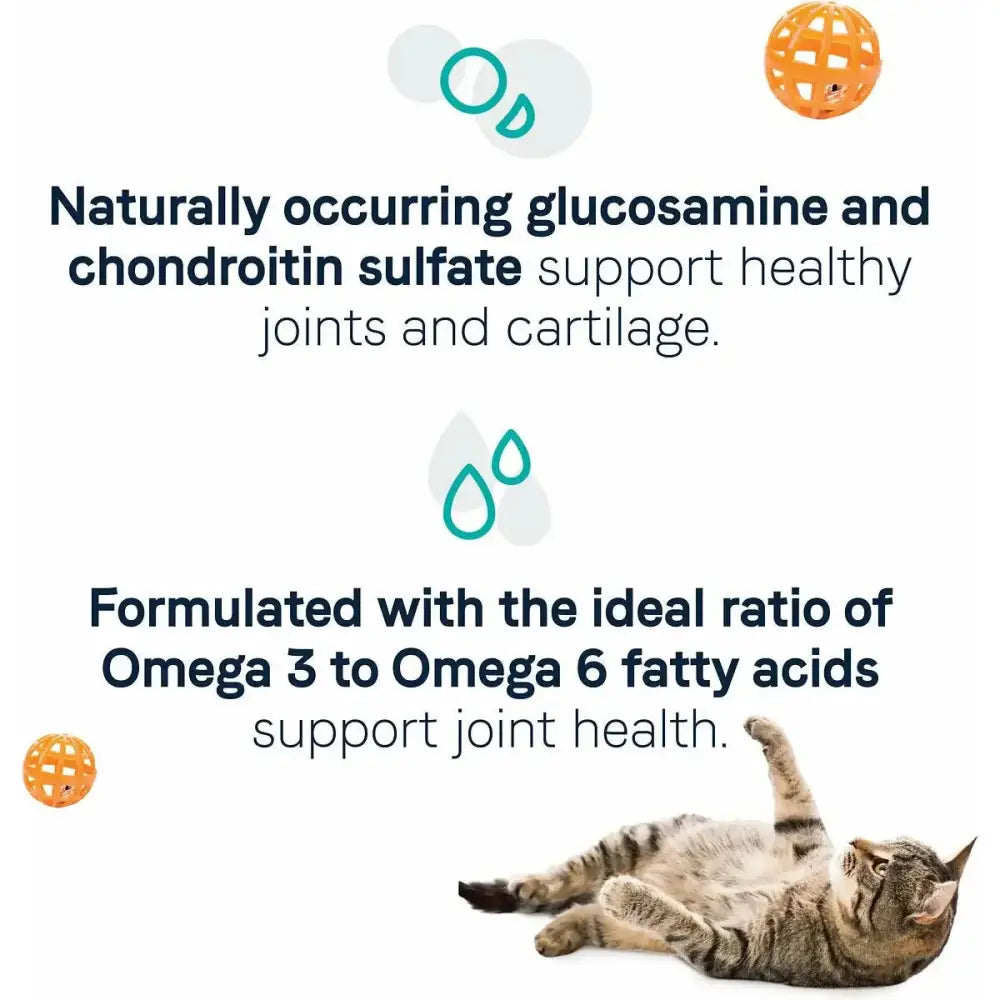 Infographic featuring CANIDAE Goodness for Joints Formula with Real Salmon Dry Cat Food: info on glucosamine and chondroitin sulfate supporting joint and cartilage health in adult cats, Omega 3 to 6 ratio for joints, plus a relaxed cat with an orange toy ball.
