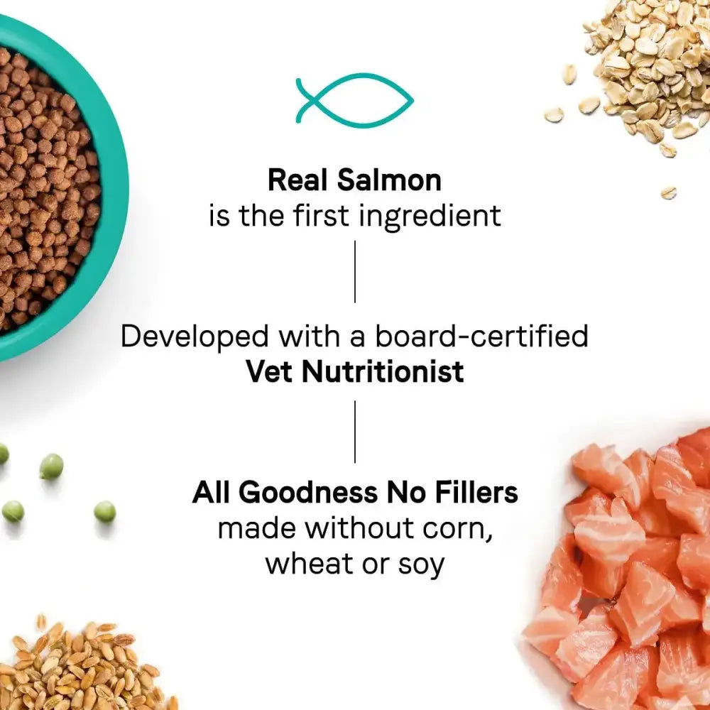 CANIDAE Goodness for Joints Formula with Real Salmon is crafted with salmon as the #1 ingredient and developed by a vet nutritionist. No corn, wheat, or soy—just high-quality dry cat food to support healthy adult cats.