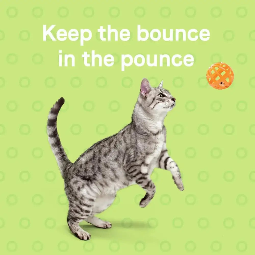 A gray tabby cat stands on its hind legs, reaching for an orange ball on a green background. White text above reads, Support your cats playful moves with CANIDAE Goodness for Joints Formula with Real Salmon Dry Cat Food.