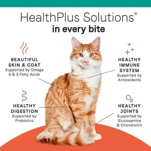An orange and white cat sits in the center, surrounded by text highlighting benefits of CANIDAE PURE Elements Formula with Chicken: beautiful skin & coat, healthy immune system, digestion, and joints—each backed by key nutrients.