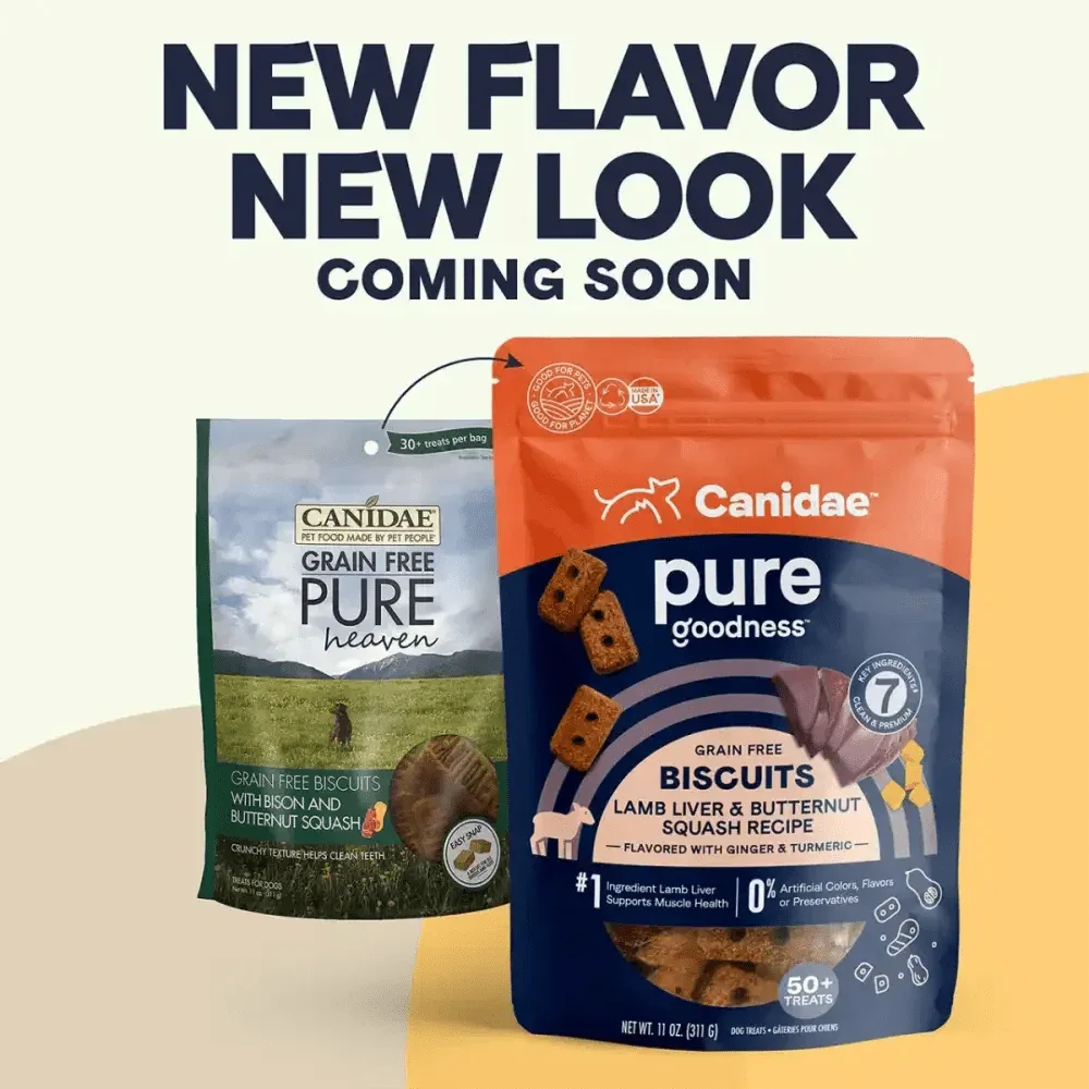 CANIDAE PURE Goodness Grain Free Biscuit with Lamb Liver & Butternut Squash Dog Treats 11 oz - Talis Us