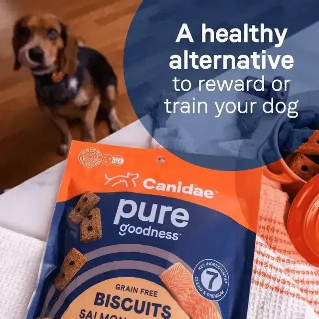 CANIDAE PURE Goodness Grain Free Biscuit with Lamb Liver & Butternut Squash Dog Treats 11 oz - Talis Us