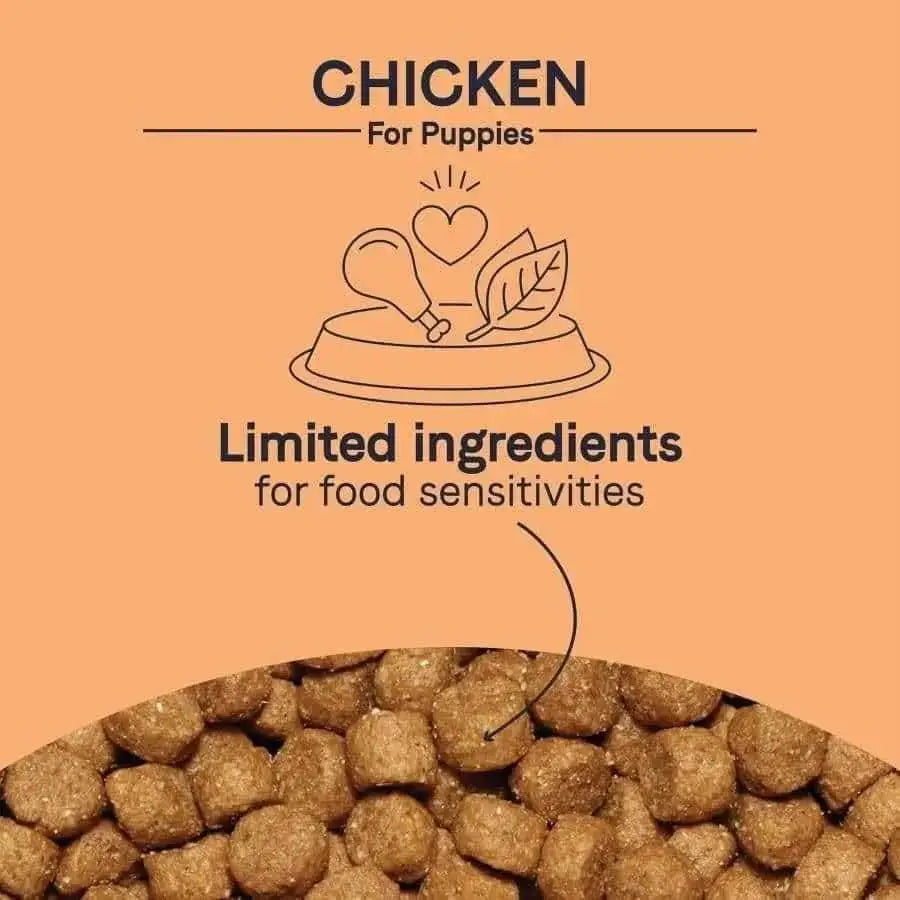 A graphic for CANIDAE PURE Grain-Free Puppy Real Chicken, Lentil & Whole Egg Recipe Dry Dog Food shows the text “CHICKEN For Puppies,” line art of a drumstick, heart, and leaf, and “Limited ingredients for food sensitivities” over kibble.