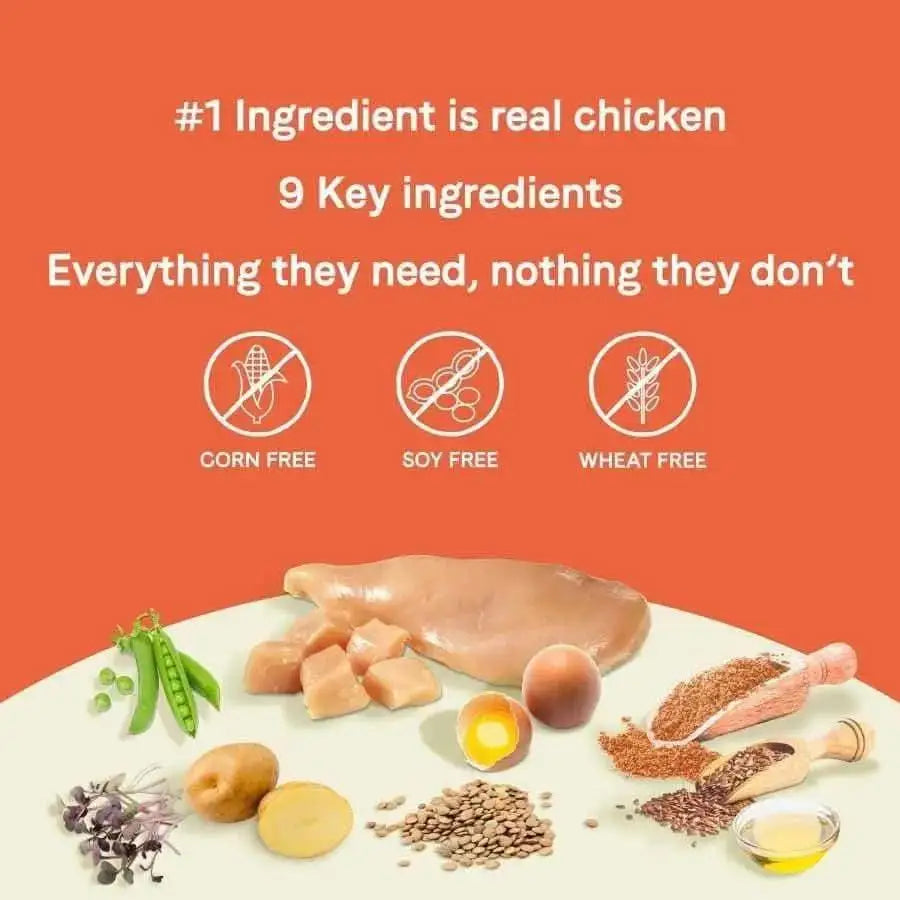 Infographic on orange background features CANIDAE PURE Grain-Free Puppy Real Chicken, Lentil & Whole Egg Recipe. Highlights: real chicken as #1 ingredient, 9 key ingredients, grain-free, corn free, soy free. Bags of CANIDAE dry dog food shown below.