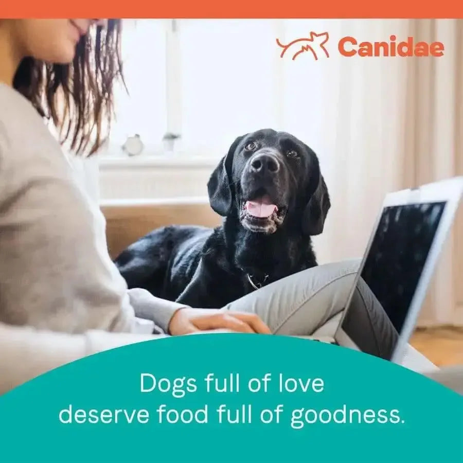 A woman uses a laptop on a couch while her joyful black dog lies beside her. Text reads, Dogs full of love deserve CANIDAE PURE Grain-Free Real Duck & Sweet Potato Recipe. The CANIDAE logo appears at the top right.