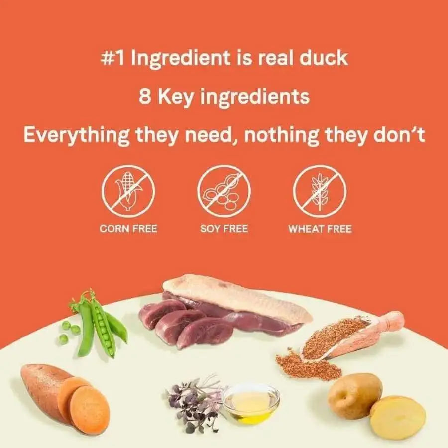 Infographic with orange background says “#1 ingredient is real duck, 8 key ingredients, everything they need, nothing they don’t,” featuring CANIDAE PURE Grain-Free Real Duck & Sweet Potato Recipe dry dog food—corn, soy & wheat free.
