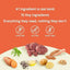 Orange background with text: #1 Ingredient is real lamb. 10 key ingredients—everything they need, nothing they don’t. Icons show CANIDAE PURE Grain-Free Real Lamb & Pea Recipe Dry Dog Food is corn, soy, wheat free. Ingredients like lamb, sweet potato, egg, peas shown.