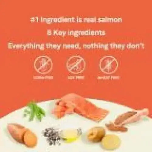 Image with orange background showing salmon, peas, sweet potato & more. Text: CANIDAE PURE Grain-Free Real Salmon & Sweet Potato Recipe features real salmon as the #1 ingredient; grain-free, corn-free, soy-free, wheat-free limited ingredient dry dog food.