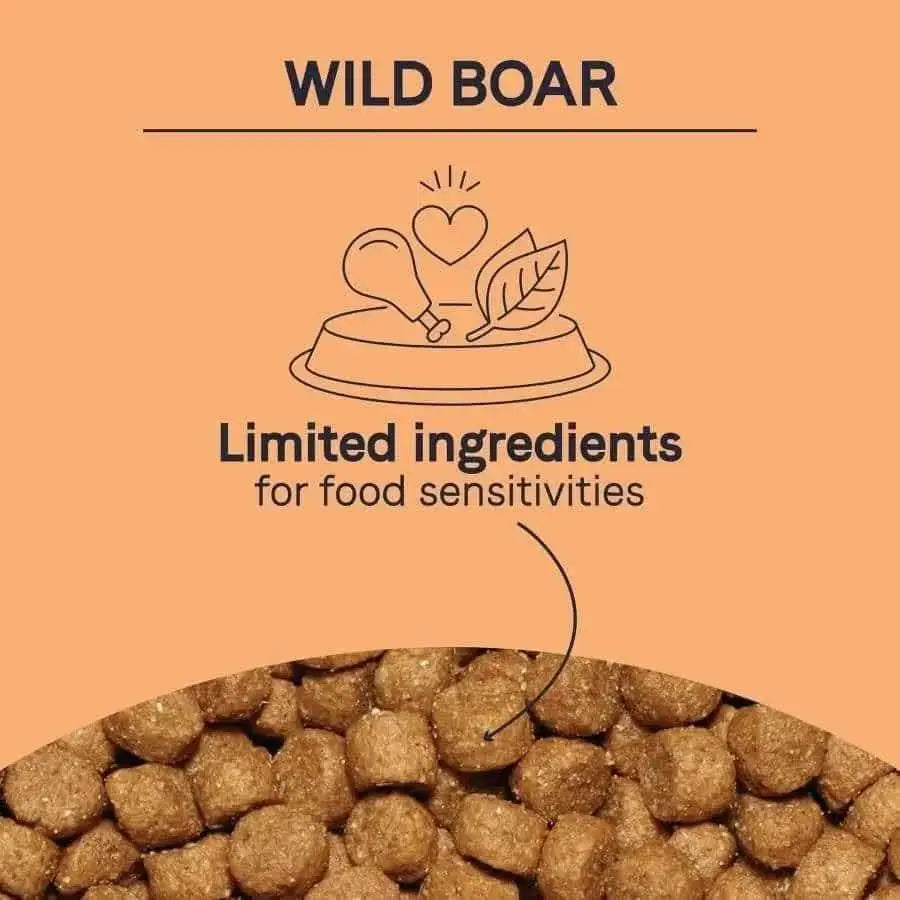 A graphic with CANIDAE at the top, an illustration of CANIDAE PURE Grain-Free Real Wild Boar & Garbanzo Bean Recipe dry dog food, text reading Limited ingredients for sensitive dogs, and a photo of brown kibble at the bottom.