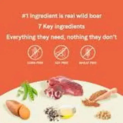 Text on a peach background reads: “#1 Ingredient is real wild boar. 7 key ingredients. All they need, nothing they don’t.” CANIDAE PURE Grain-Free Wild Boar & Garbanzo Bean Dog Food—perfect for sensitive dogs. Icons: wild boar, egg, peas, oil, herbs.