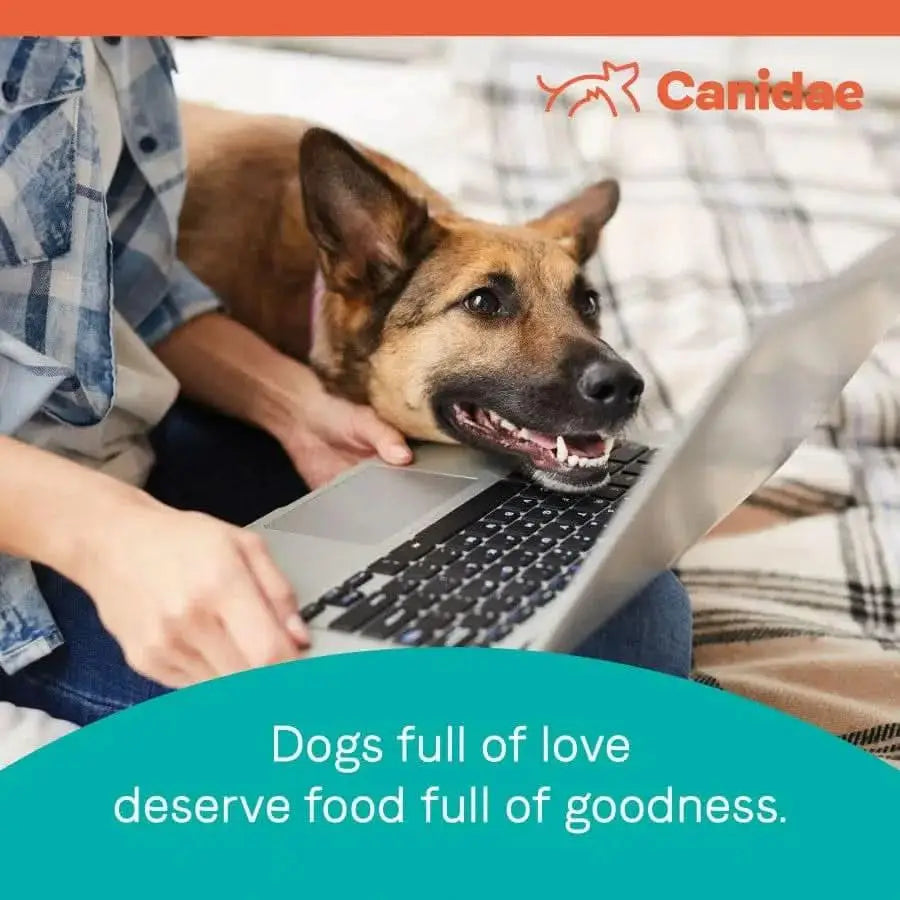 A happy dog rests its head on a laptop beside a person on a bed. Text reads: Sensitive dogs deserve CANIDAE PURE Grain-Free Real Wild Boar & Garbanzo Bean Recipe dry dog food. The CANIDAE logo appears at the top right.