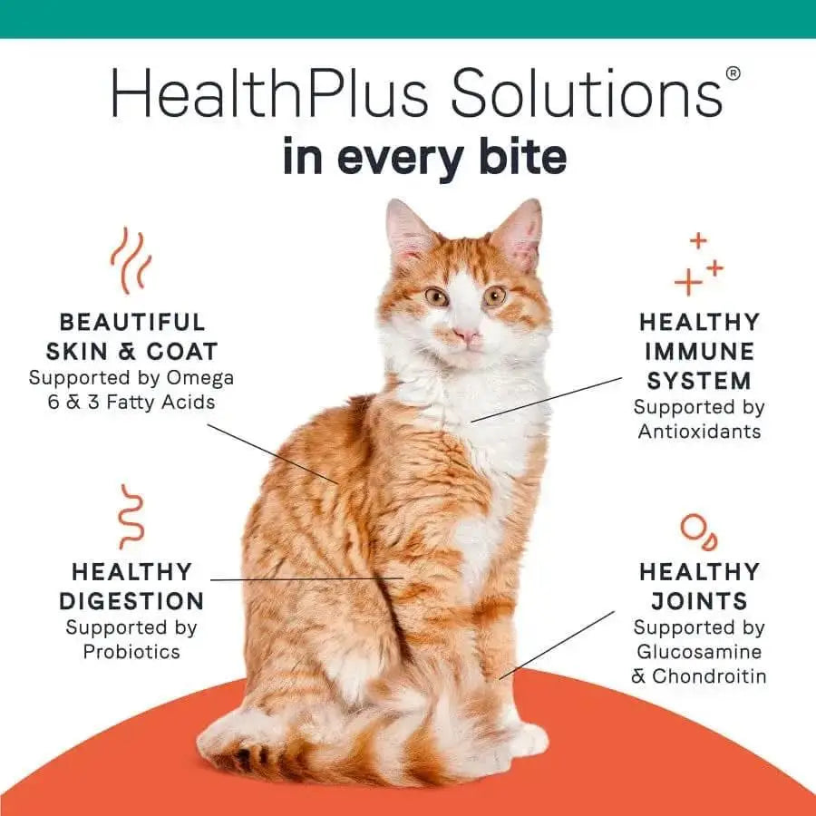 A cat sits center with text: beautiful skin and coat, healthy digestion, immune support, and healthy joints—ideal for sensitive felines. Heading reads HealthPlus Solutions in every bite. CANIDAE PURE Ocean Indoor Formula with Tuna.