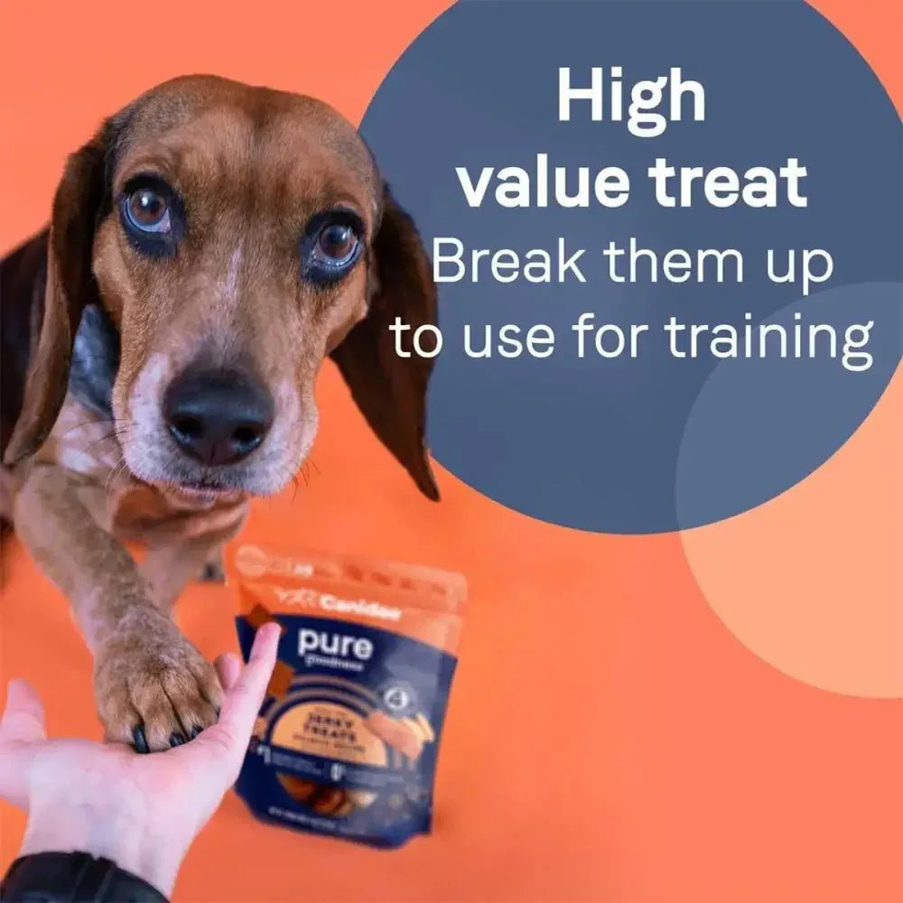 CANIDAE PURE Salmon Jerky w/Sweet Potato Dog Treats 4 oz - Talis Us