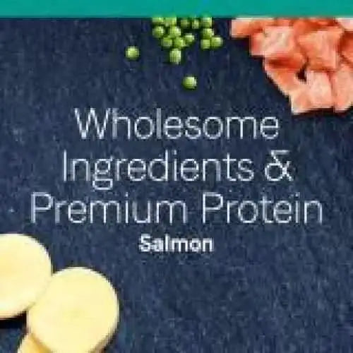 Text reads “Wholesome Ingredients & Premium Protein Salmon” over a dark background with green peas, salmon pieces, and yellow rounds—ideal for sensitive cats. CANIDAE PURE Sea Formula with Salmon is a grain free dry cat food by CANIDAE.