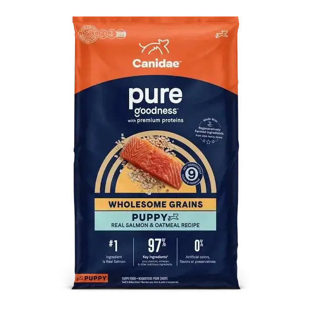 A bag of CANIDAE PURE with Wholesome Grains Puppy Real Salmon & Oatmeal Recipe Dry Dog Food features real salmon and oatmeal. The blue, orange, and cream pack shows salmon, grains, and key benefits. Brand: CANIDAE.