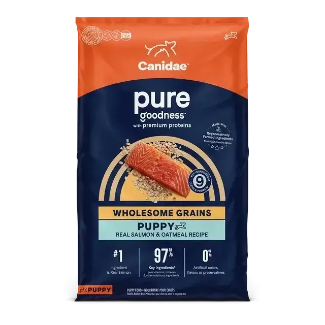 A bag of CANIDAE PURE with Wholesome Grains Puppy Real Salmon & Oatmeal Recipe Dry Dog Food features real salmon and oatmeal. The blue, orange, and cream pack shows salmon, grains, and key benefits. Brand: CANIDAE.