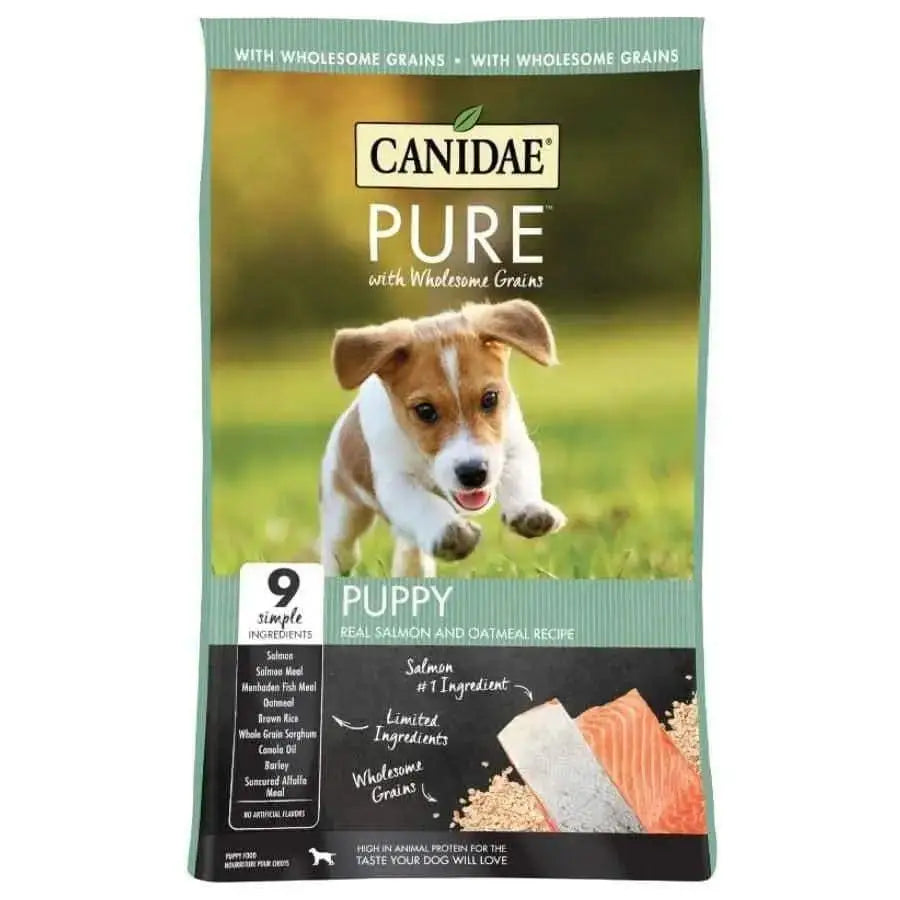 CANIDAE PURE with Wholesome Grains Puppy Real Salmon & Oatmeal Recipe Dry Dog Food features a playful puppy on grass with salmon and oatmeal images, offering real salmon and just 9 limited ingredients for your puppy.