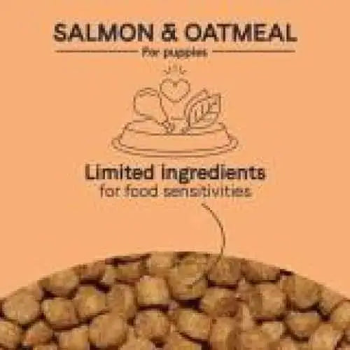 The label reads CANIDAE PURE with Wholesome Grains Puppy Real Salmon & Oatmeal Recipe, featuring a food and heart icon. It highlights limited ingredient dog food for sensitivities, with close-up kibble on an orange background.
