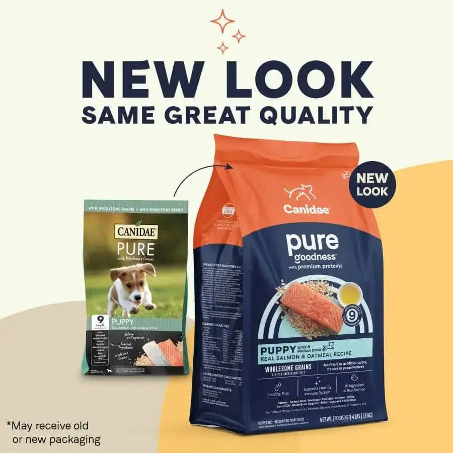 Two bags of CANIDAE PURE with Wholesome Grains Puppy Real Salmon & Oatmeal Recipe Dry Dog Food are shown. The old bag is on the left; the new design with salmon is on the right. NEW LOOK, SAME GREAT QUALITY—packaging may vary.