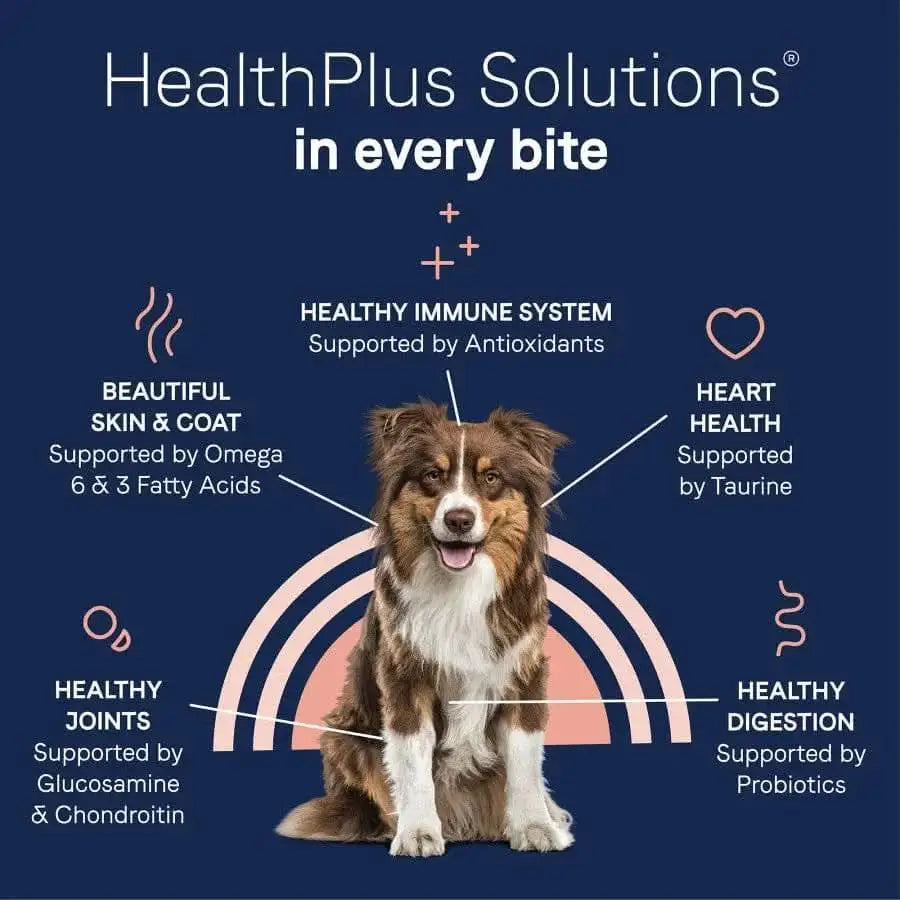 A happy dog sits in the center, surrounded by text showing benefits of CANIDAE PURE with Wholesome Grains Real Beef & Barley Recipe: healthy skin & coat, immune system, heart, joints, and digestion—each backed by specific nutrients and icons.