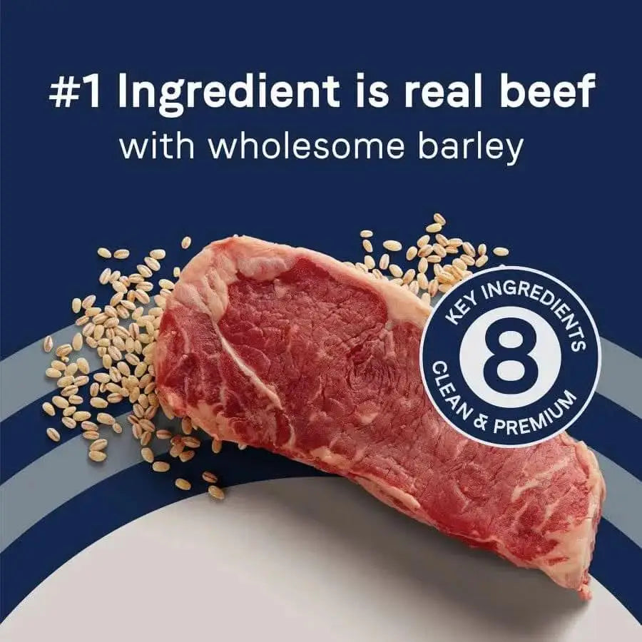 A raw beef steak and barley grains are shown. Text: CANIDAE PURE with Wholesome Grains Real Beef & Barley Recipe Dry Dog Food—#1 Ingredient is real beef, made with wholesome barley; 8 Key Ingredients. Clean & Premium by CANIDAE on a blue background.