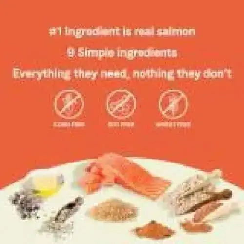Infographic with orange background reads, “#1 ingredient: real salmon. 9 simple ingredients. Everything they need, nothing they don’t,” highlighting CANIDAE PURE with Wholesome Grains Real Salmon & Barley Recipe—corn, soy & wheat free.