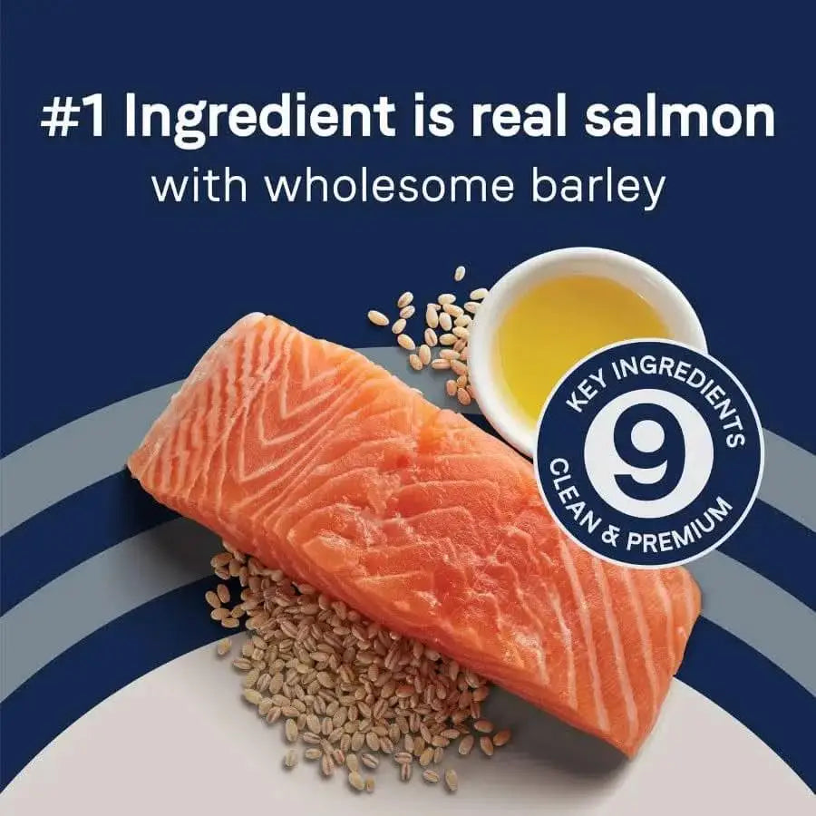 A piece of raw salmon, barley, and a bowl of oil sit on a blue and beige background. Text: CANIDAE PURE with Wholesome Grains Real Salmon & Barley Recipe Dry Dog Food—real salmon #1 ingredient, 9 key clean & premium ingredients.