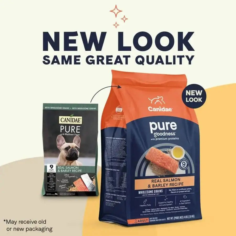 Two bags of CANIDAE PURE with Wholesome Grains Real Salmon & Barley Recipe Dry Dog Food are shown side by side—a previous design with a dog image, and a navy blue bag featuring salmon art and New Look Same Great Quality text.