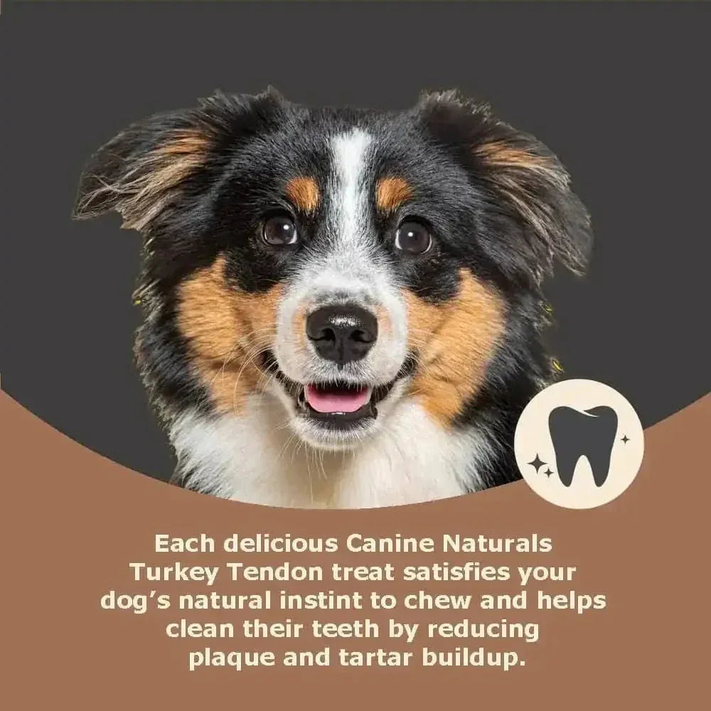 Canine Naturals Slow Roasted Turkey Chews for Dogs 4ct - Talis Us