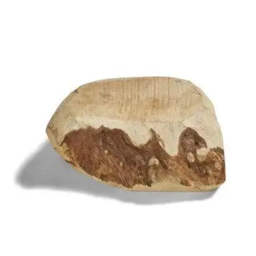 CANOPHERA All Natural Briar Wood Chew for Dogs - Talis Us