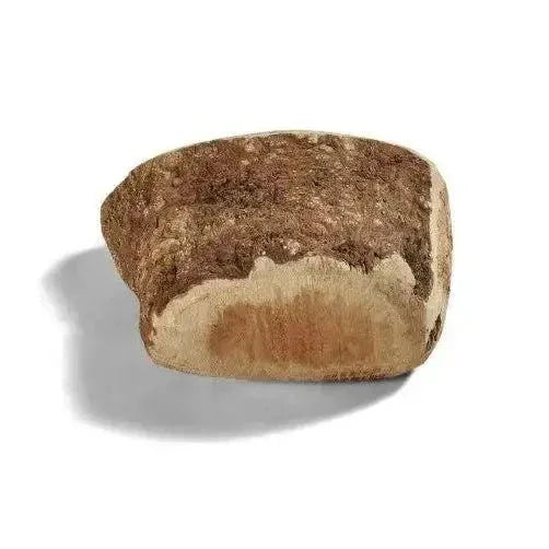 CANOPHERA All Natural Briar Wood Chew for Dogs - Talis Us