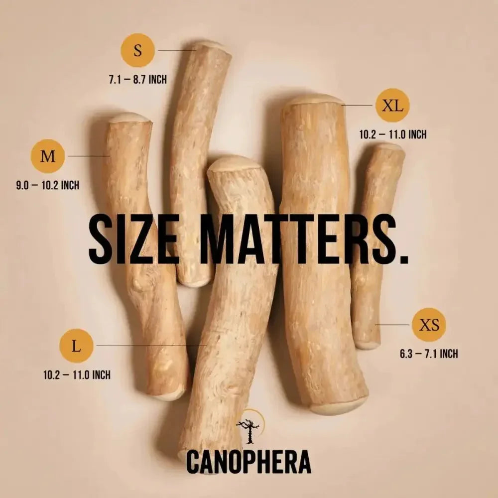 CANOPHERA All Natural Coffee Wood Chew for Dogs - Talis Us