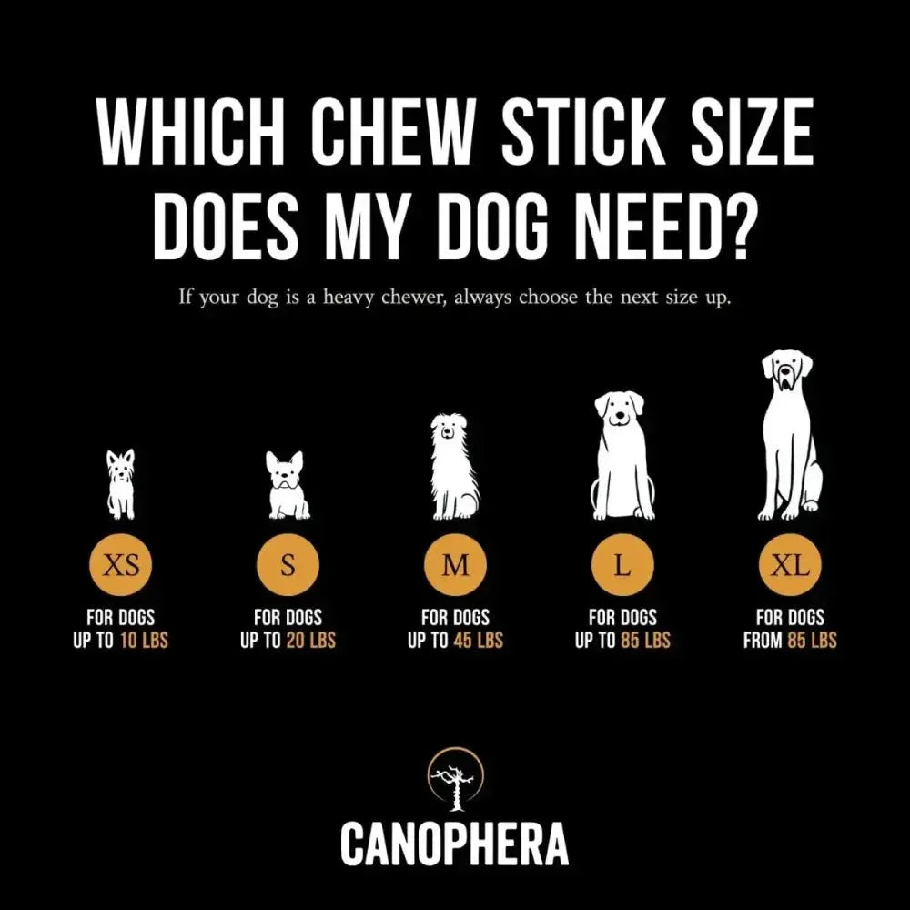 CANOPHERA All Natural Coffee Wood Chew for Dogs - Talis Us