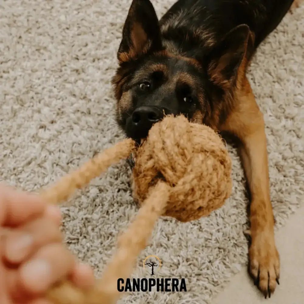Canophera Coconut Rope Toys for Dogs - Talis Us