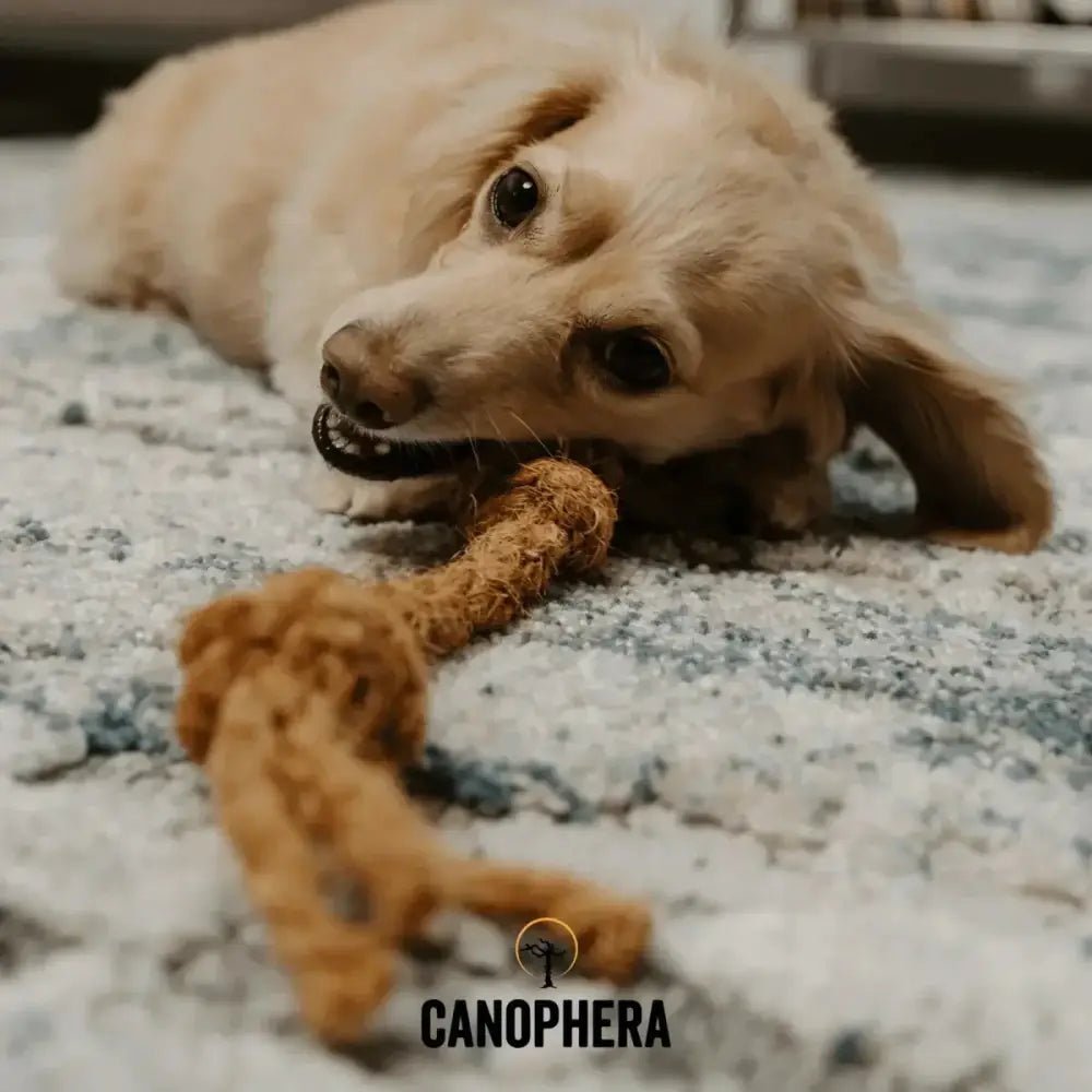 Canophera Coconut Rope Toys for Dogs - Talis Us