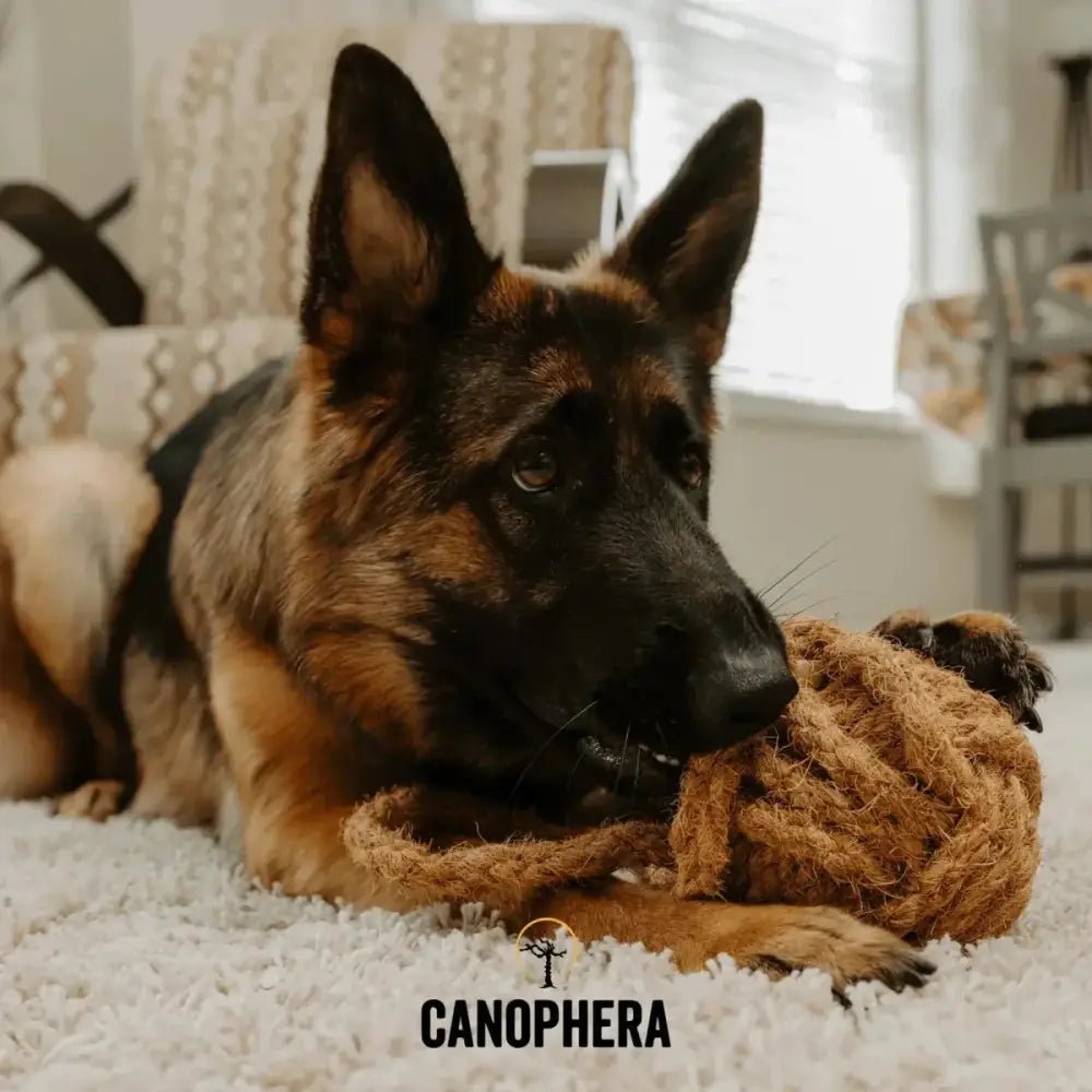 Canophera Coconut Rope Toys for Dogs - Talis Us