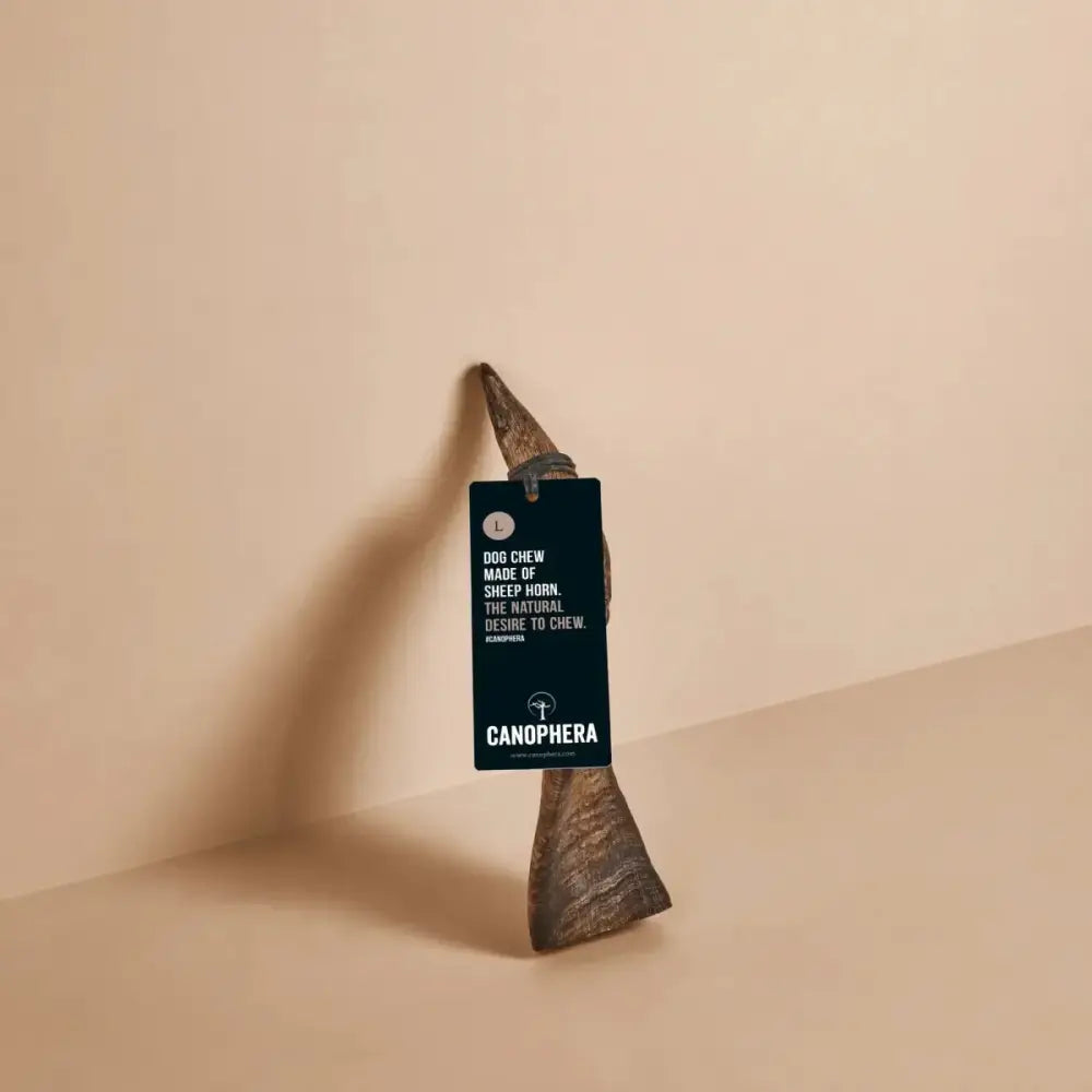 CANOPHERA Sheep Dog Chew Horn - Talis Us