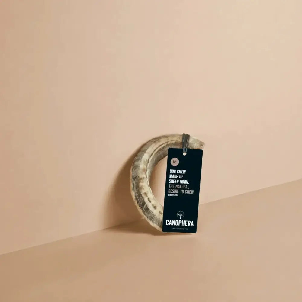 CANOPHERA Sheep Dog Chew Horn - Talis Us